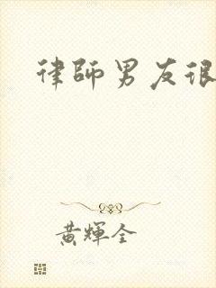 律师男友很难撩