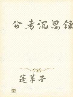 公考沉思录