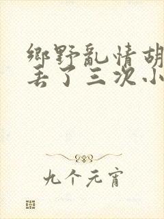 乡野乱情胡秀英丢了三次小说封面