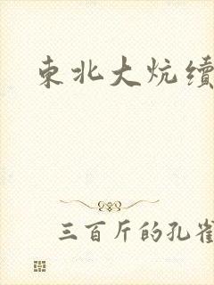 东北大炕续集