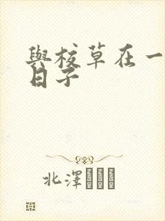 与校草在一起的日子