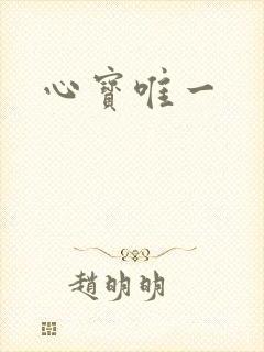 心宝唯一封面