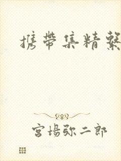 携带集精系统封面