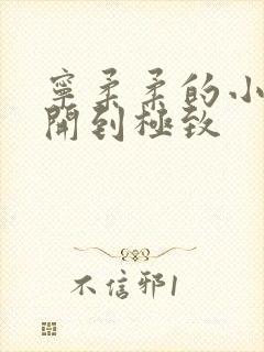 宁柔柔的小泬撑开到极致