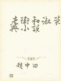 老卫和淑荣的经典小说封面