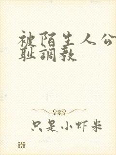 被陌生人公开羞耻调教