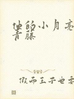 他的小月亮by青藤