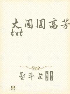大团圆高芳小说txt封面