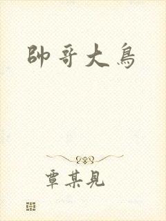 帅哥大鸟