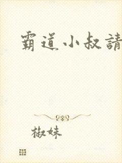 霸道小叔请轻撩