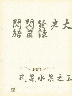 闪闪发光大团圆结目录