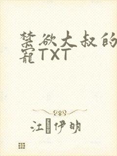 禁欲大叔的心尖宠TXT