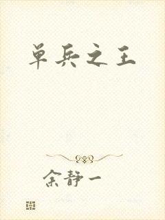 单兵之王封面