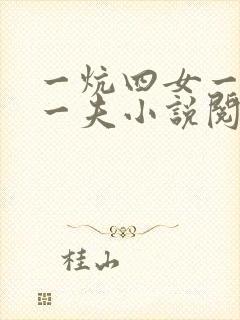 一炕四女一共侍一夫小说阅读