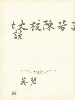 t大校陈若芸小说封面