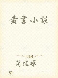 黄书小说