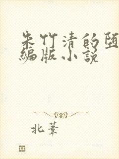 朱竹清的堕落改编版小说