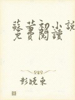 苏若初小说全文免费阅读封面