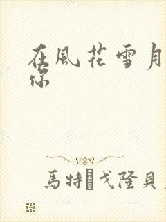 在风花雪月里等你