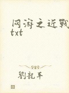 网游之近战法师txt封面