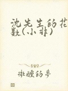 沈先生的花式调数(小非)