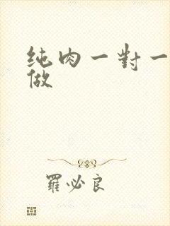 纯肉一对一到处做