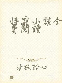 恃宠小说全文免费阅读封面