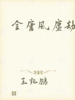金庸风尘劫
