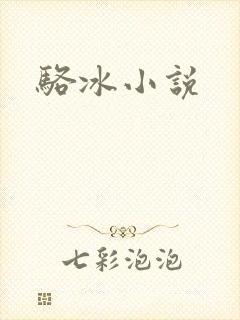 骆冰小说封面