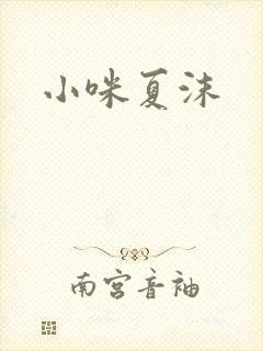小咪夏沫封面
