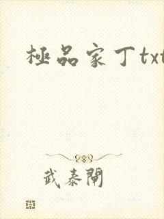 极品家丁txt