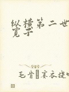 纵横第二世界 宽子
