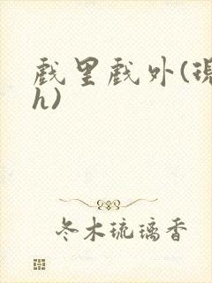 戏里戏外(现场h)