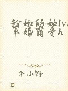 粉嫩的她1v1军婚霸爱h封面