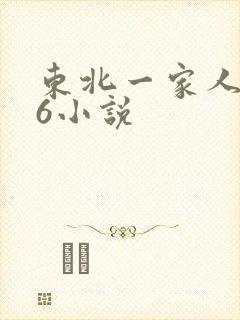 东北一家人1一6小说