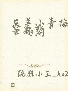 反差小青梅藏心笔趣阁