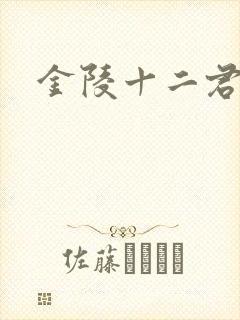 金陵十二君封面