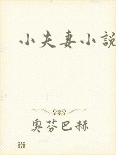 小夫妻小说