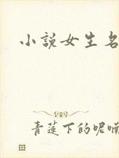 小说女生名字