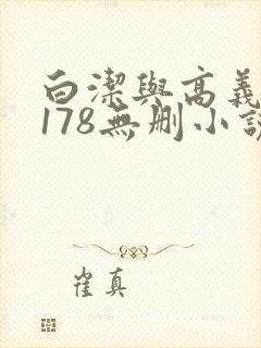 白洁与高义1～178无删小说封面