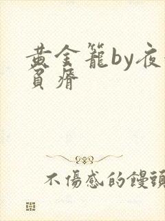 黄金笼by夜很贫瘠