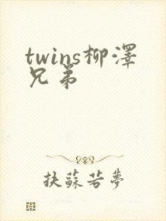 twins柳泽兄弟