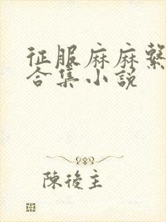 征服麻麻系列大合集小说