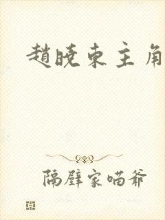 赵晓东主角小说