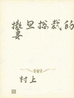 撒旦总裁的下堂妻