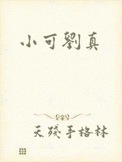 小可刘真封面