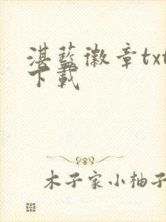 湛蓝徽章txt下载