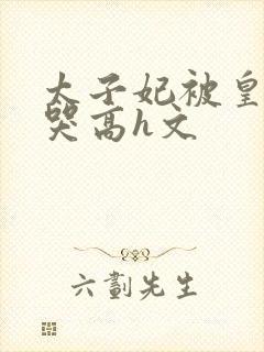 太子妃被皇上c哭高h文