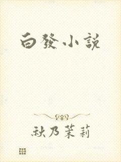 白发小说