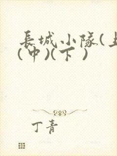 长城小队(上)(中)(下 )